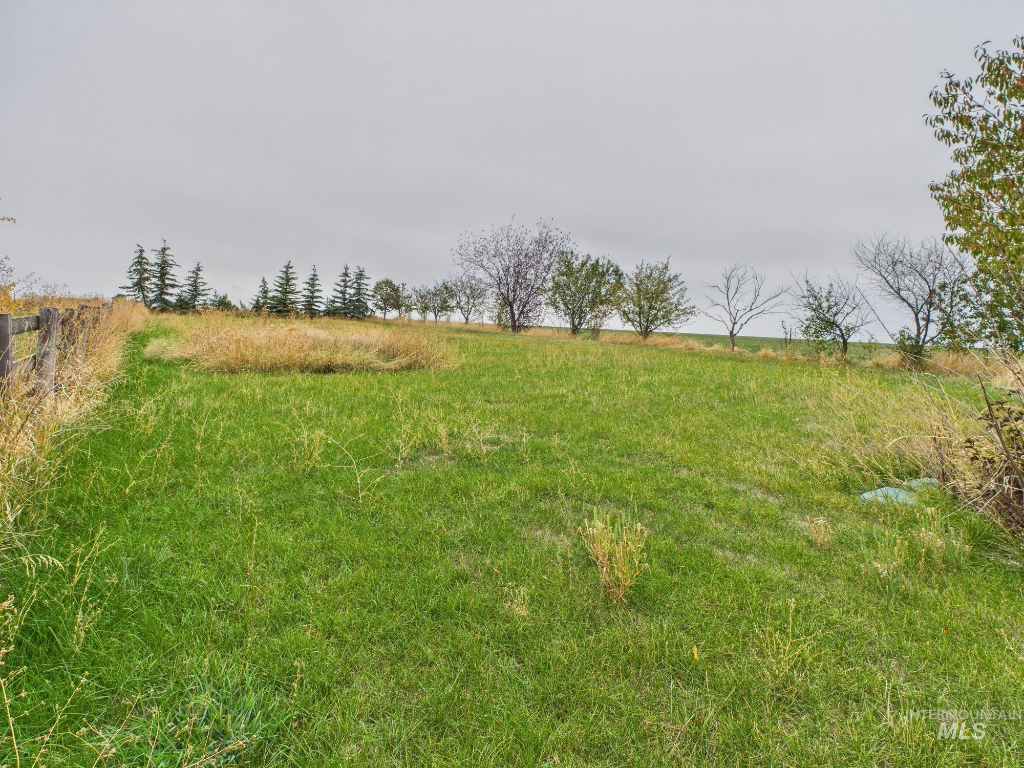 523 3rd Street Ferdinand, ID 83526 - Photo 36 of 41 View of yard with a view of rural / pastoral area
