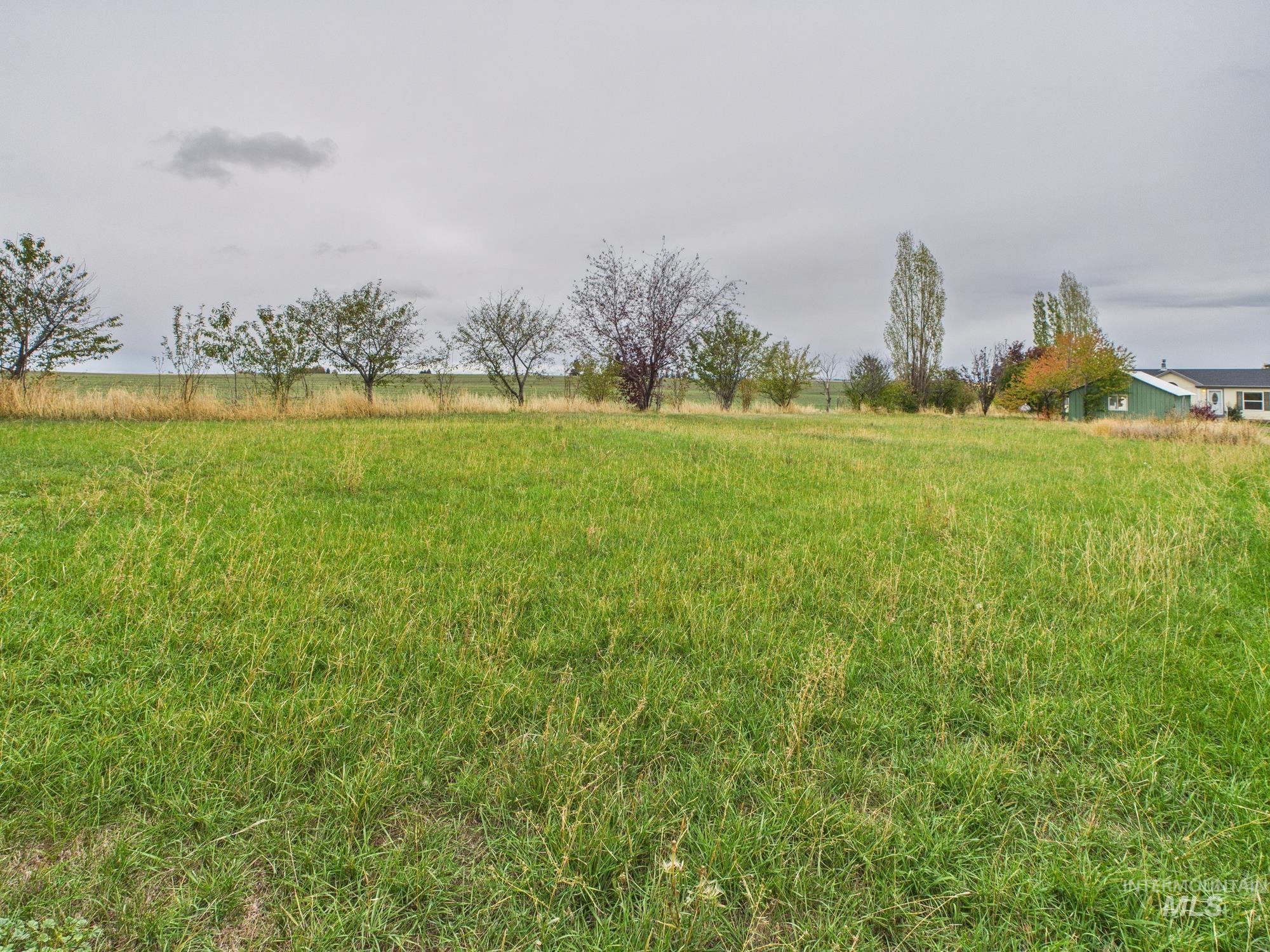 523 3rd Street Ferdinand, ID 83526 - Photo 37 of 41 View of yard with a view of rural / pastoral area