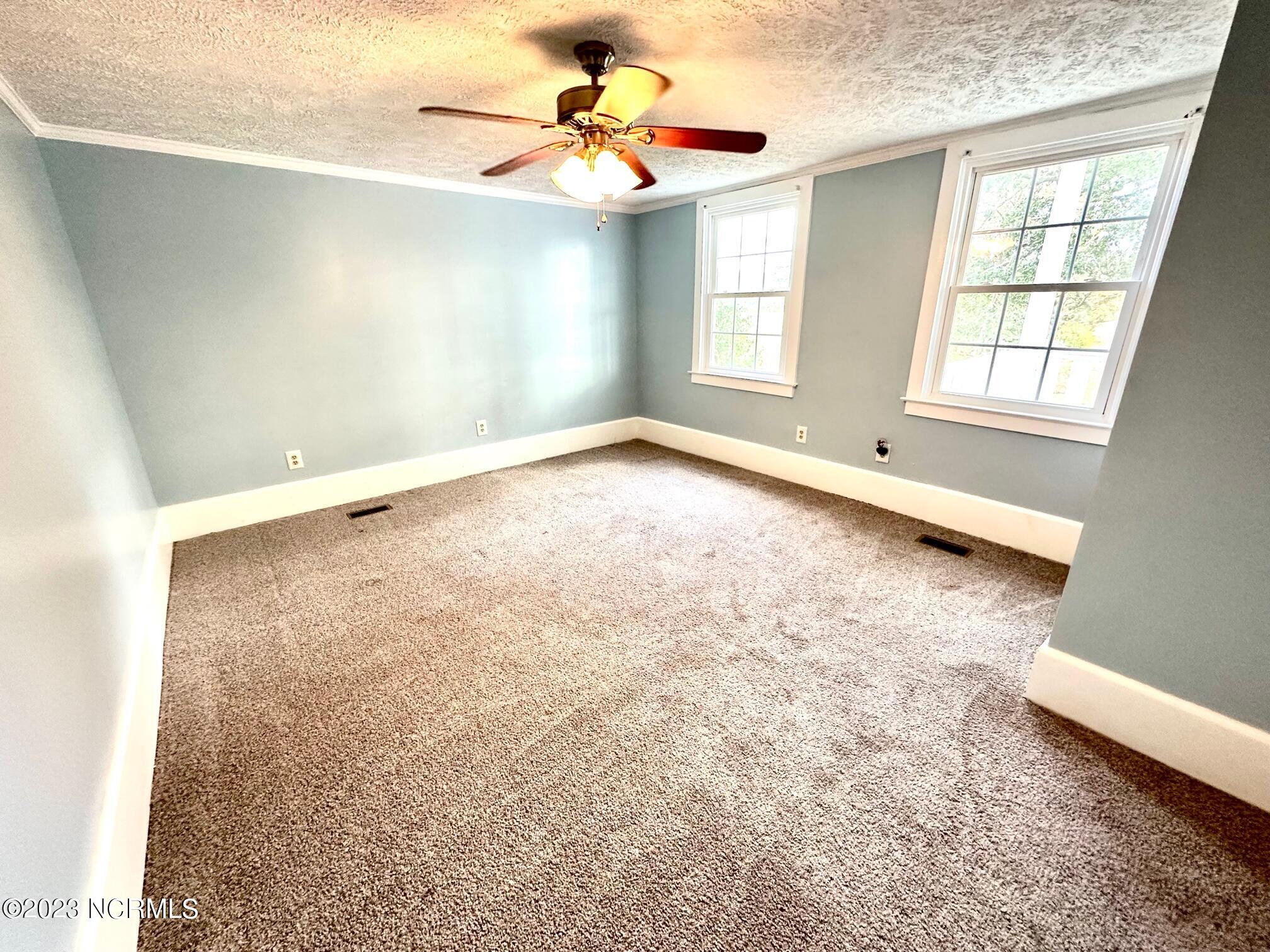 208 Dolph Lewis Road Chadbourn, NC 28431 - Photo 19 of 50 Lower Level, Double Closet