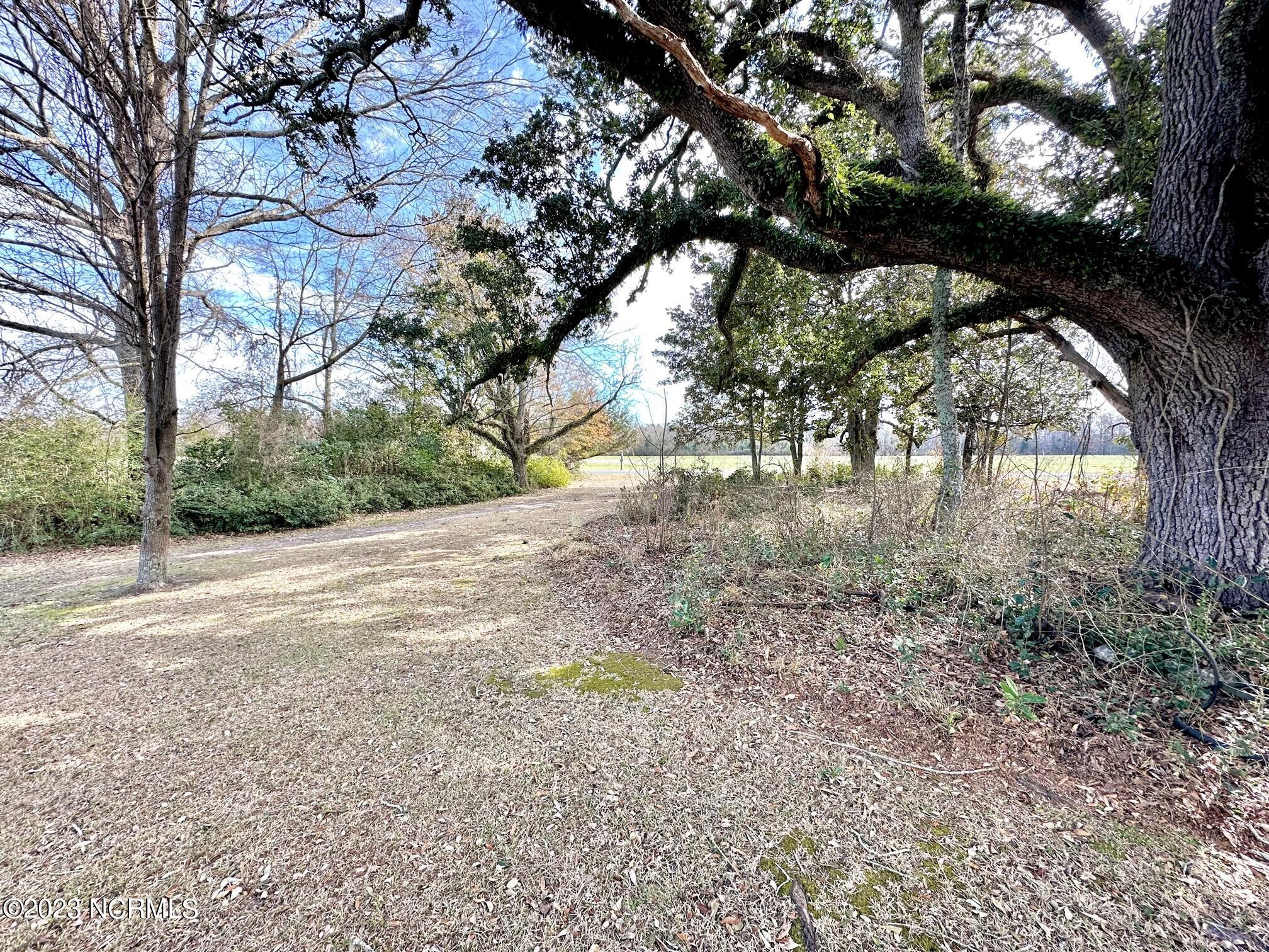 208 Dolph Lewis Road Chadbourn, NC 28431 - Photo 47 of 50 Front Yard View