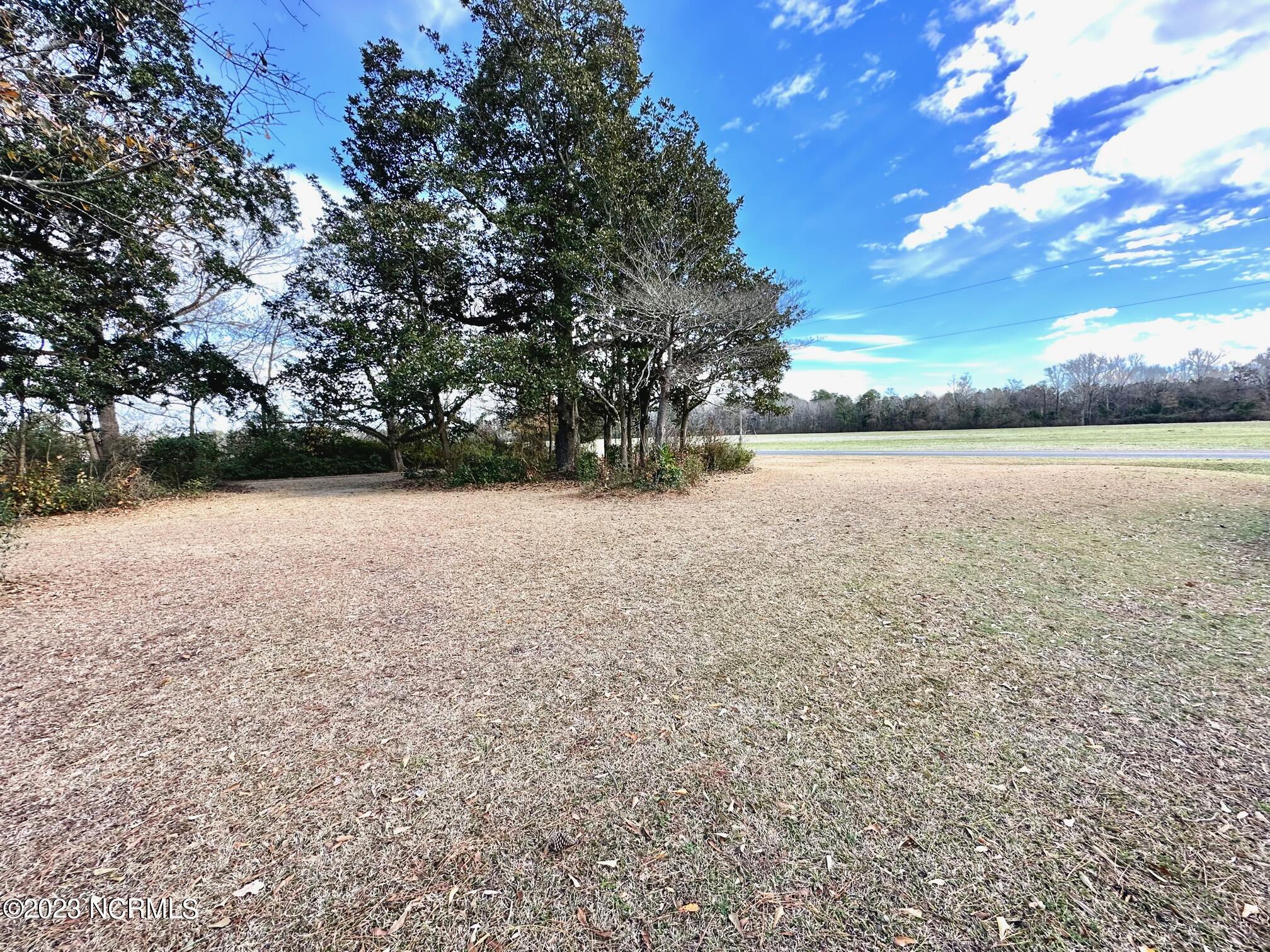 208 Dolph Lewis Road Chadbourn, NC 28431 - Photo 48 of 50 Front Yard View