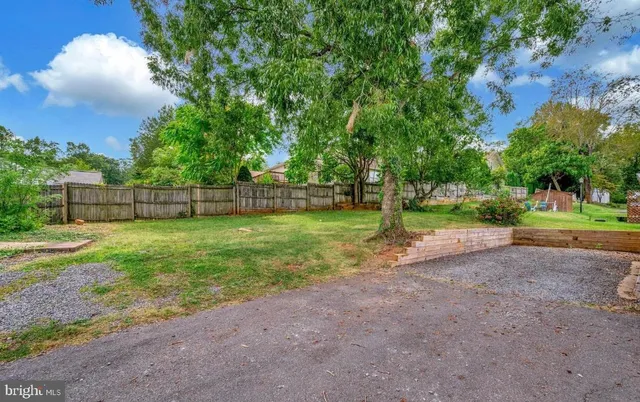 a view of a yard with a street