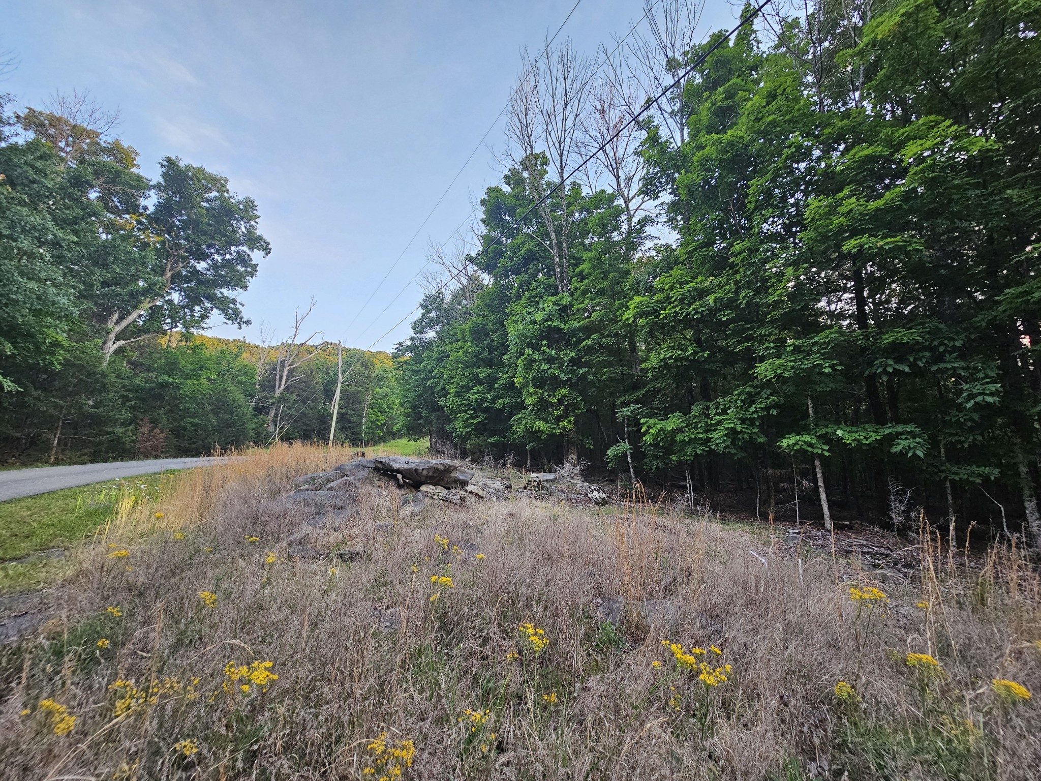 3 Sewanee Summit Road Decherd, TN 37324 - Photo 2 of 13 a big yard with lots of green space and plants