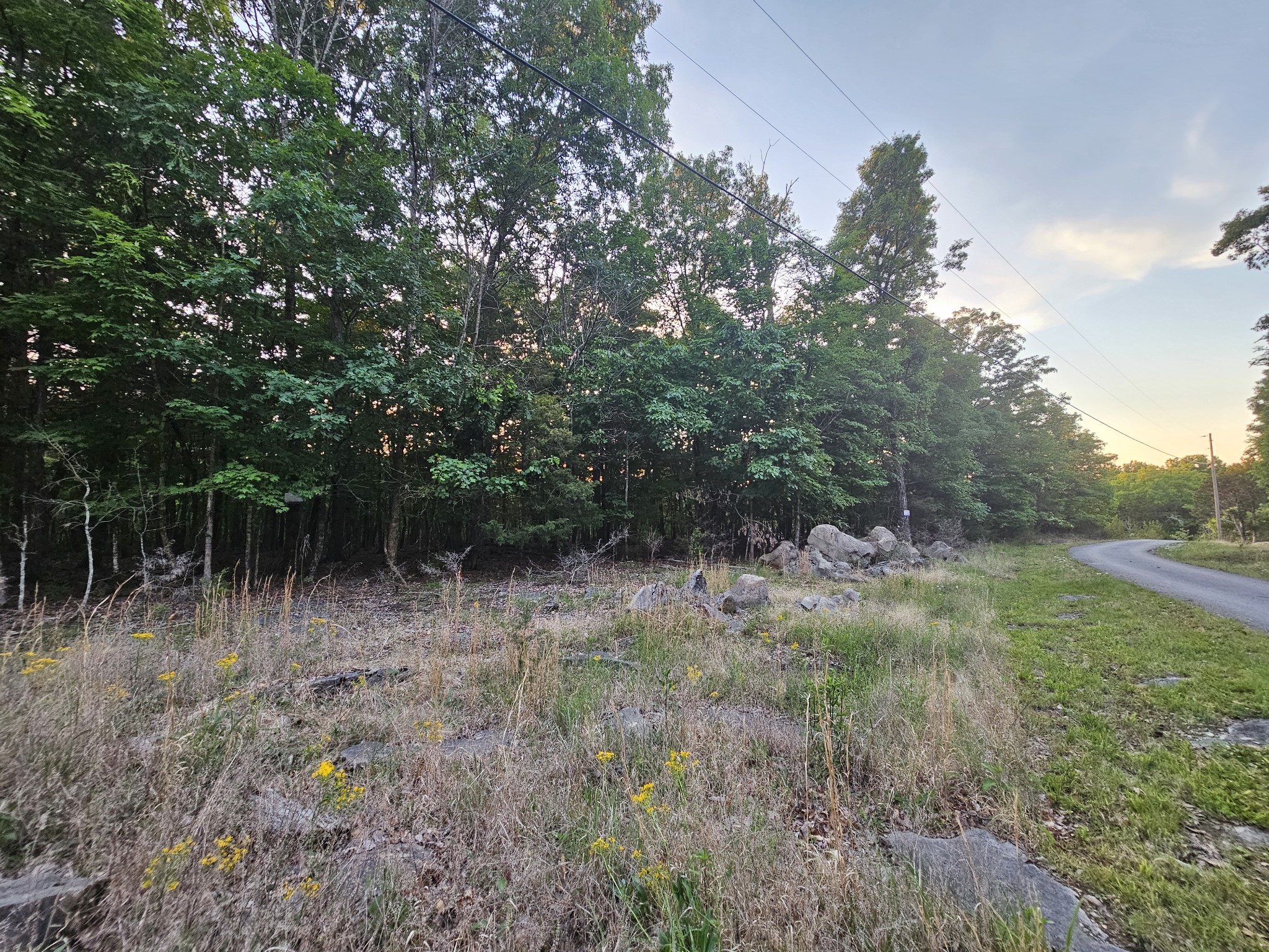 3 Sewanee Summit Road Decherd, TN 37324 - Photo 3 of 13 a view of a lush green forest with lots of trees