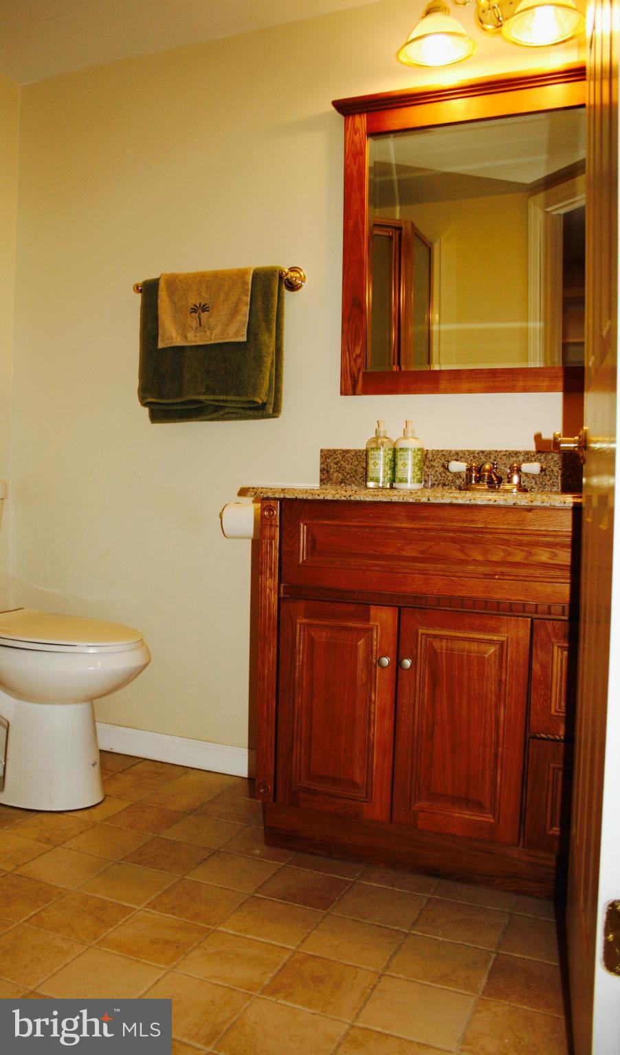 8247 Del Haven Road Baltimore, MD 21222 - Photo 13 of 20 Bath