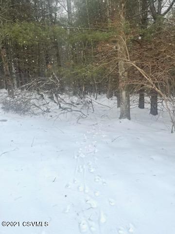 Mossville Road Benton, PA 17814 - Photo 6 of 12