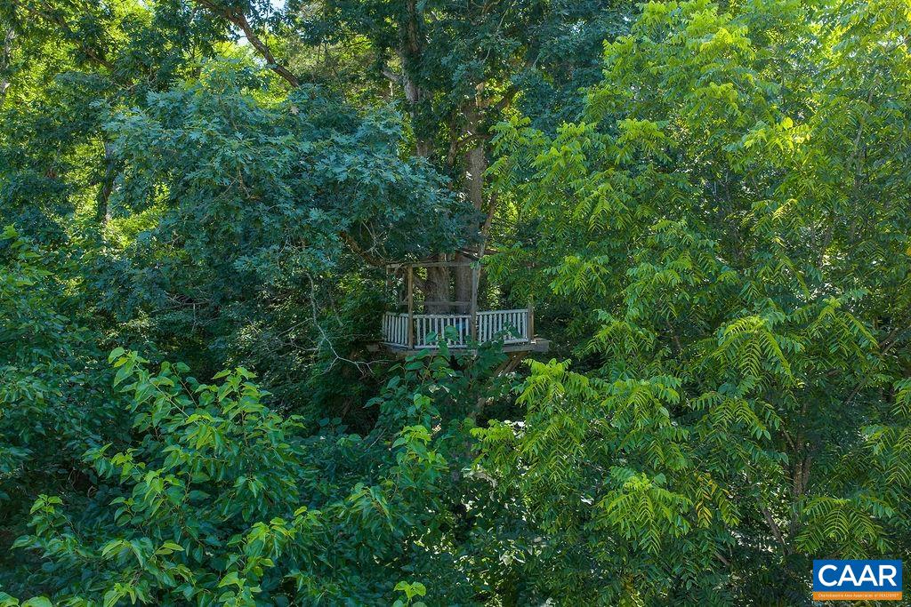 6654 Plank Road Charlottesville, VA 22903 - Photo 61 of 70