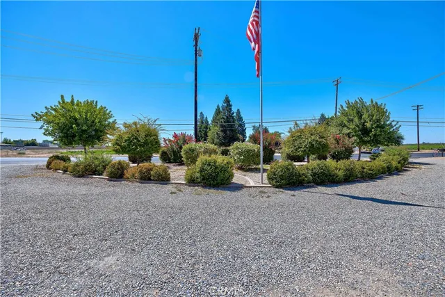 a view of a garden with a tree in front of the house