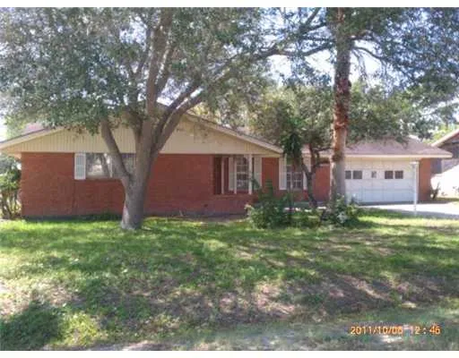 a large tree in front of a brick house