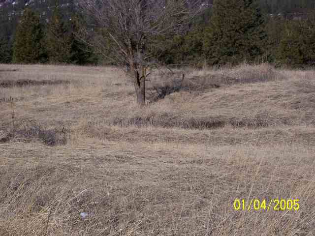 0 East Forest Road Davenport, WA 99122 - Photo 4 of 5 Gallery Image 4
