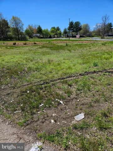 a view of a field with trees in the background