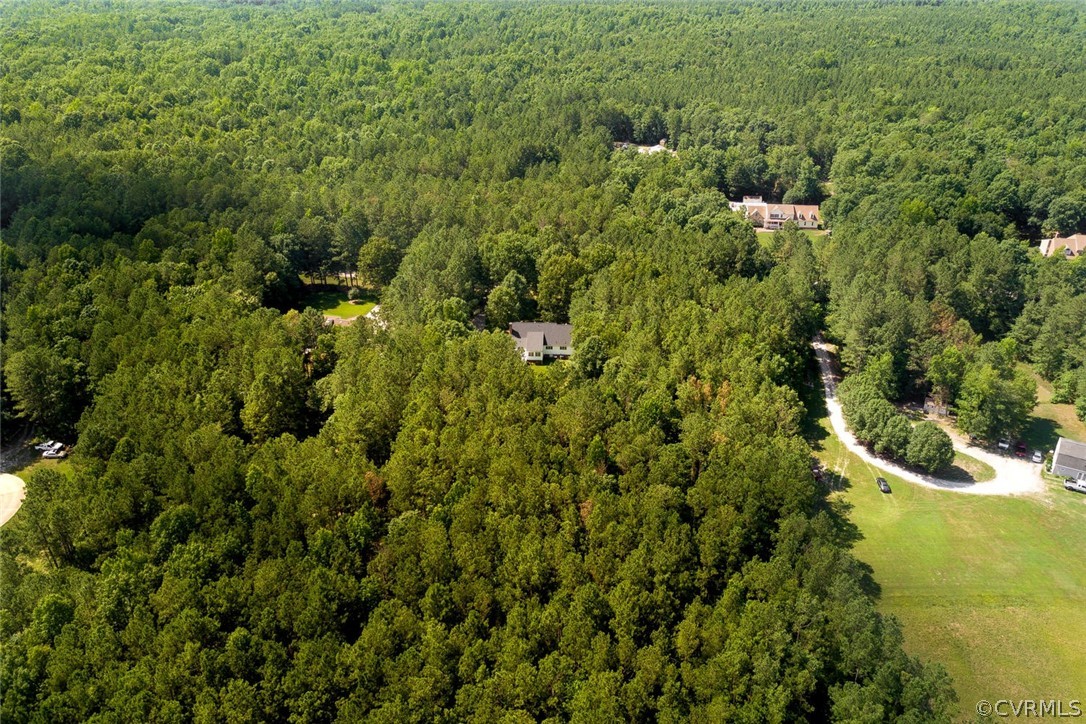 9211 Cattail Road Chesterfield, VA 23838 - Photo 35 of 37 a view of a house with a lush green forest