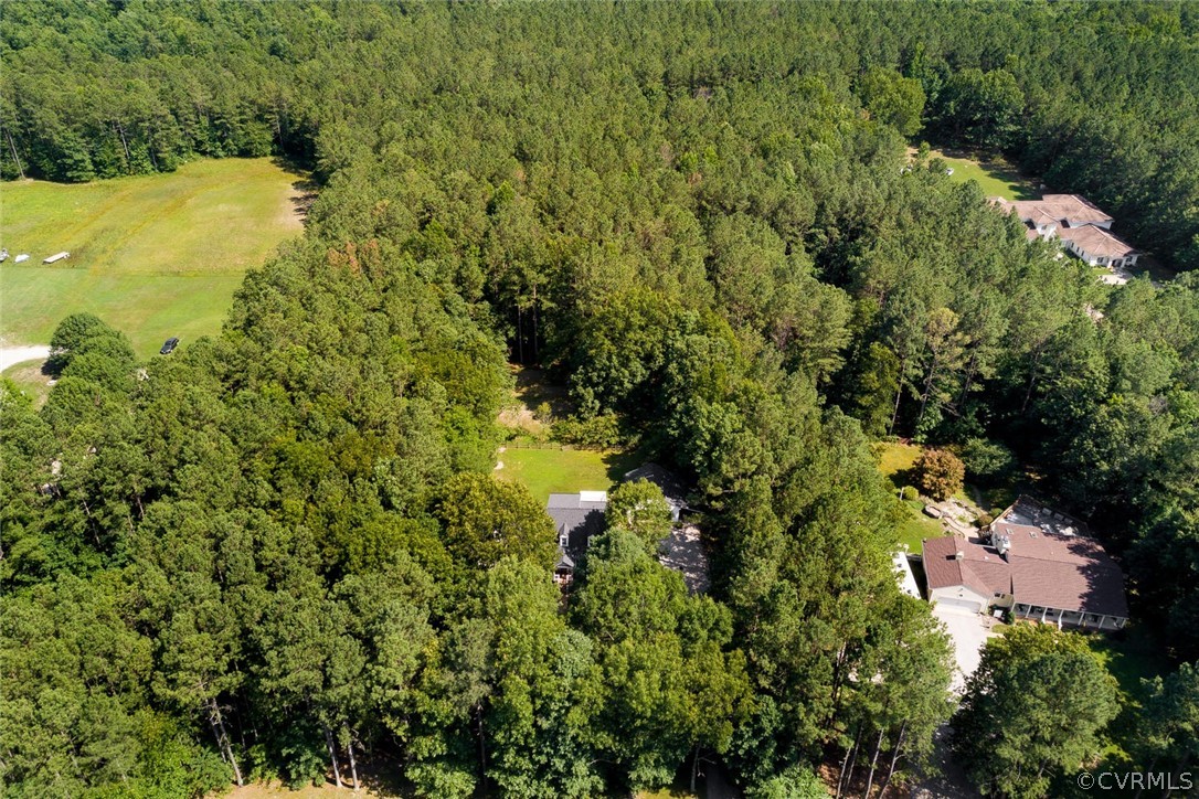 9211 Cattail Road Chesterfield, VA 23838 - Photo 4 of 37 a view of a yard with plants and large trees