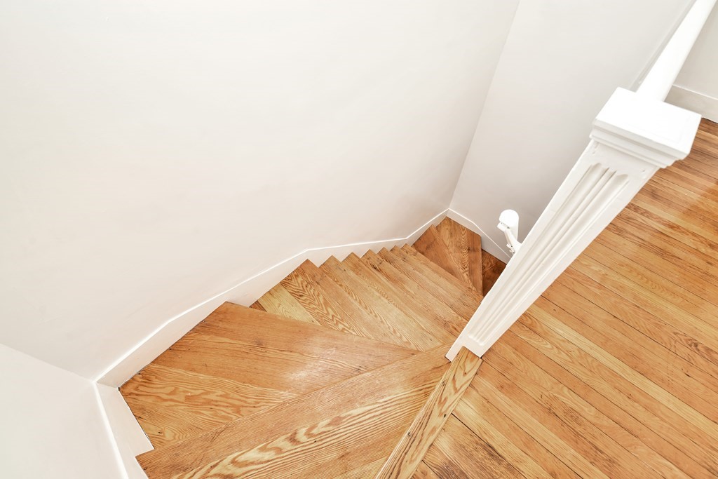 40 Tennis Road Boston, MA 02126 - Photo 11 of 29 Gallery Image 11
