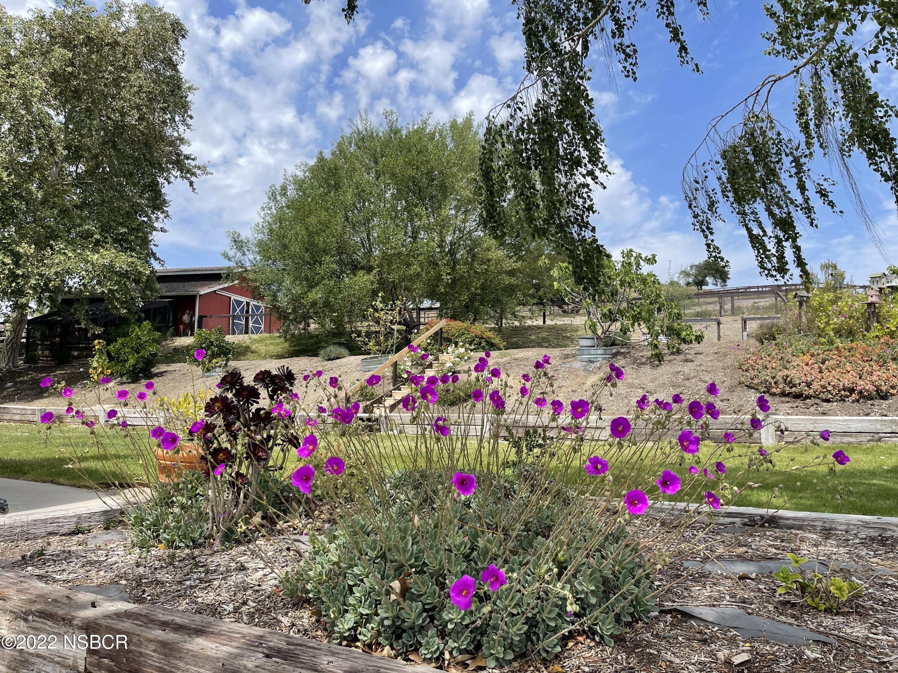 1833 Cougar Ridge Road Buellton, CA 93427 - Photo 38 of 46 a view of yard with flowers and trees
