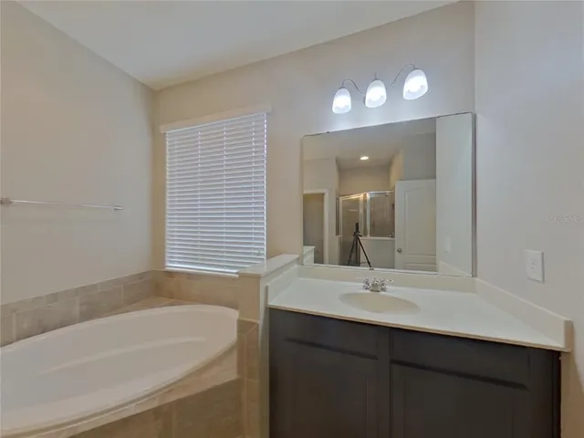 a bathroom with a bathtub a sink and a mirror
