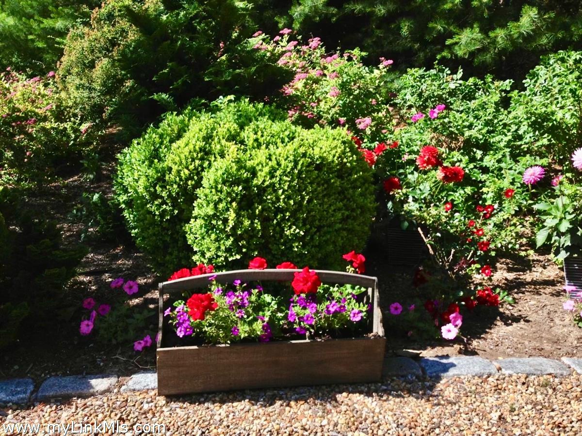 261 Sandpiper Lane, Unit 12 Vineyard Haven, MA 02568 - Photo 50 of 50 a view of a flowers in front of flowers
