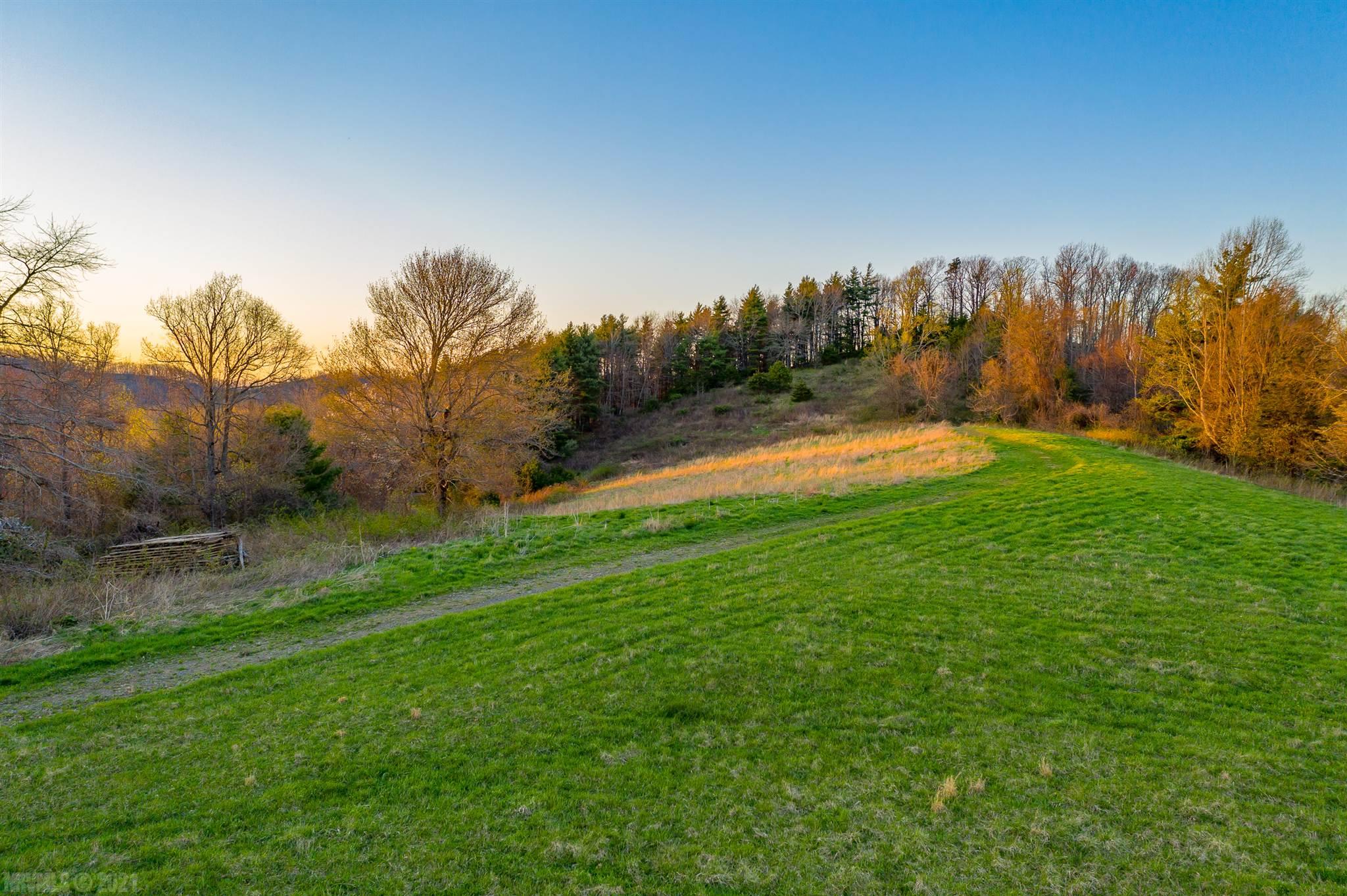33-acres Ridge Road Austinville, VA 24312 - Photo 72 of 74 Gallery Image 72