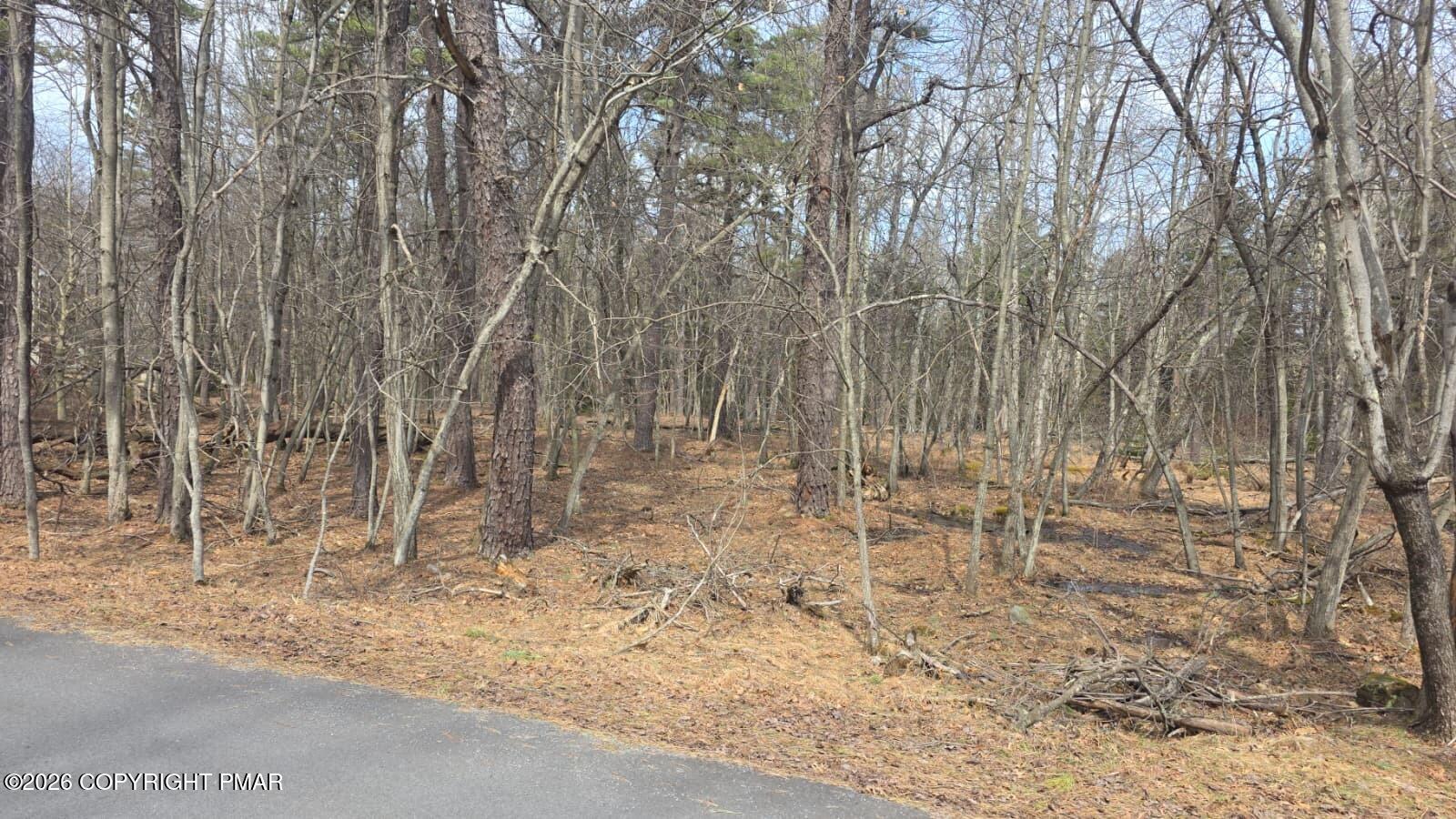826 Laurel Road Pocono Summit, PA 18346 - Photo 14 of 14 a view of wooden fence