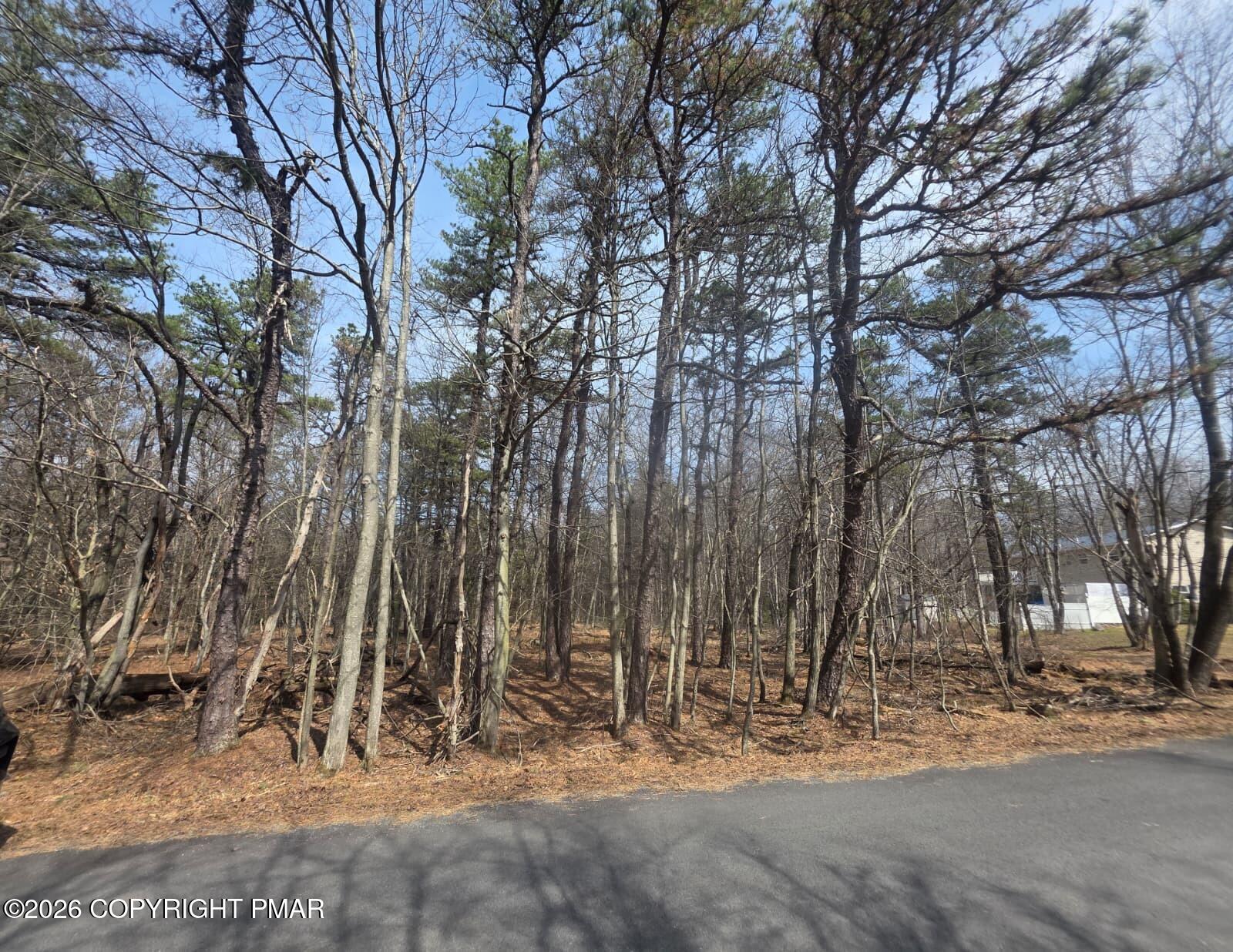 826 Laurel Road Pocono Summit, PA 18346 - Photo 6 of 14 a view of a backyard of the house
