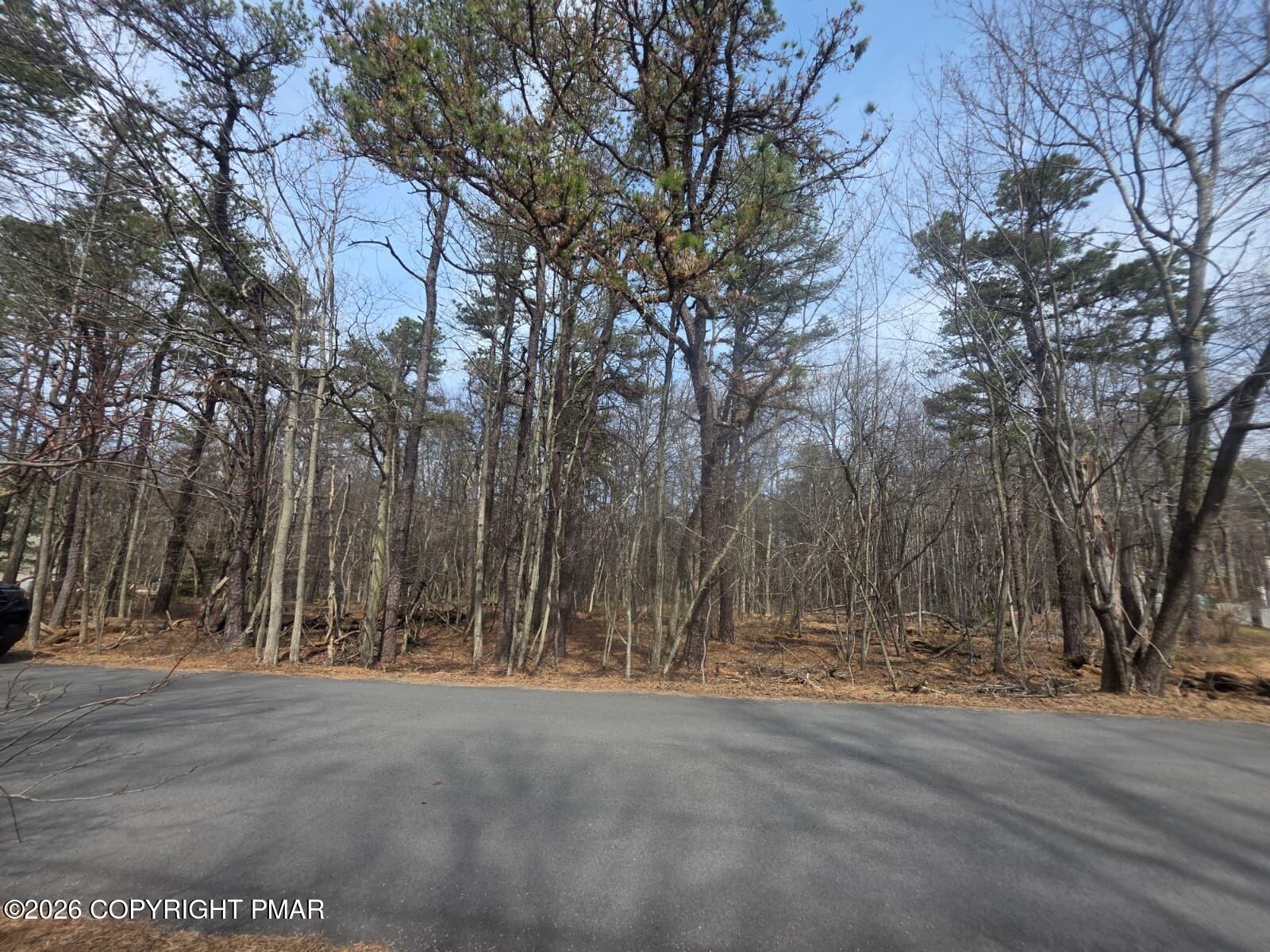 826 Laurel Road Pocono Summit, PA 18346 - Photo 7 of 14 a view of outdoor space with trees