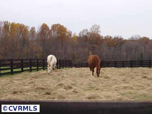 5061 Broad St Road Louisa, VA 23093 - Photo 7 of 10 Gallery Image 7