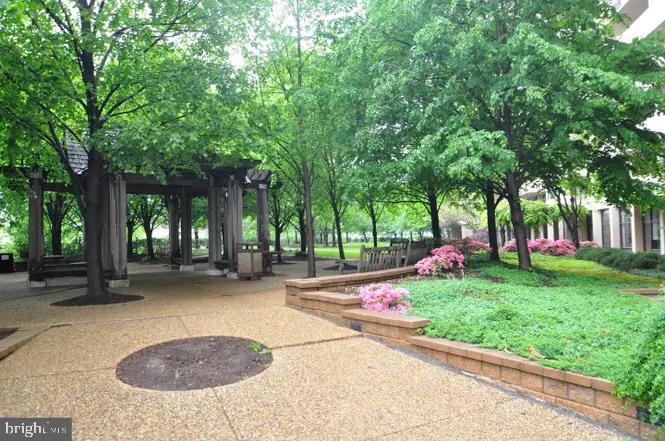 4141 North Henderson Road, Unit 322 Arlington, VA 22203 - Photo 45 of 53 a view of a backyard with large trees