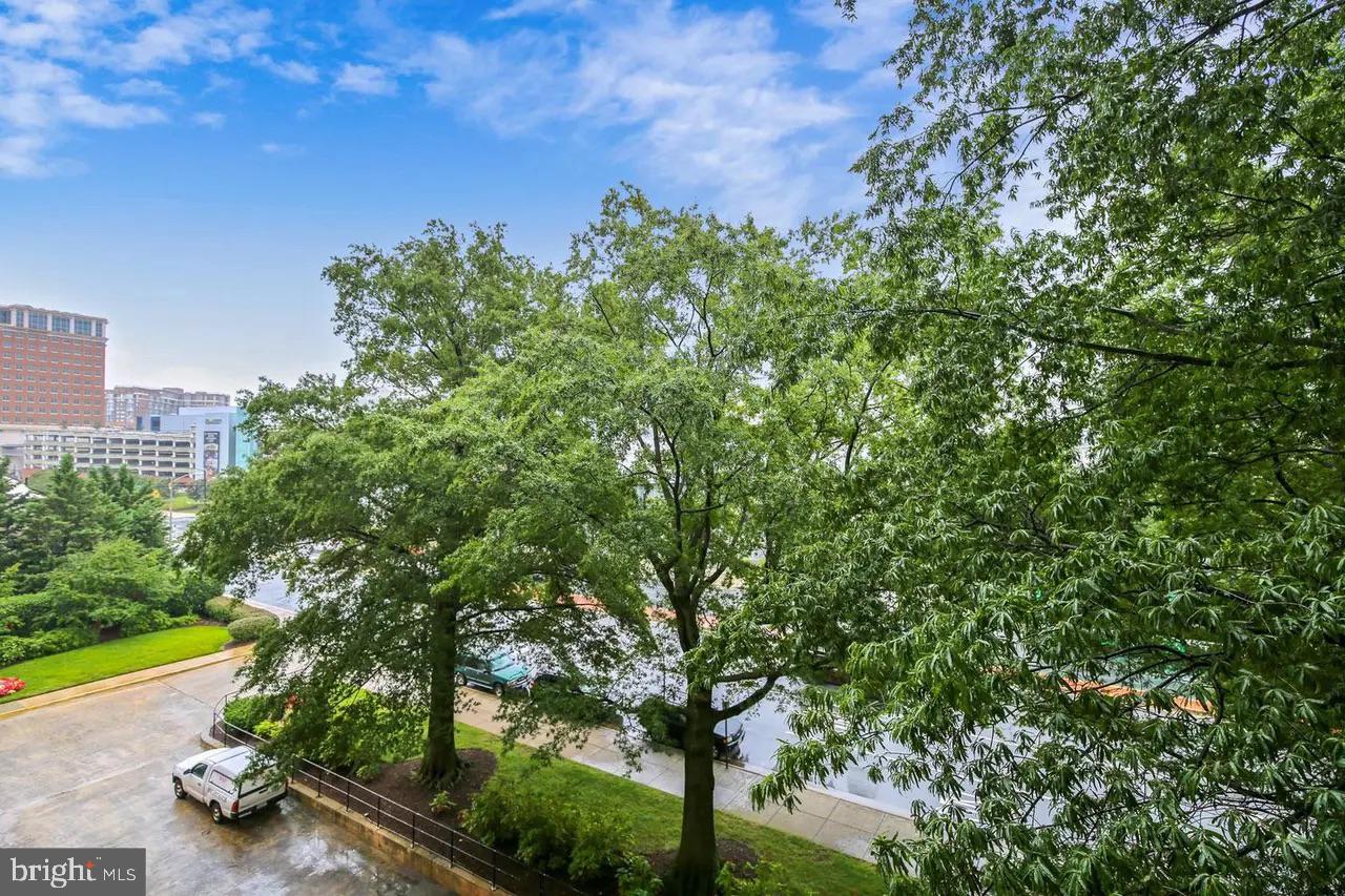 4141 North Henderson Road, Unit 322 Arlington, VA 22203 - Photo 47 of 53 a view of a garden with plants and large trees