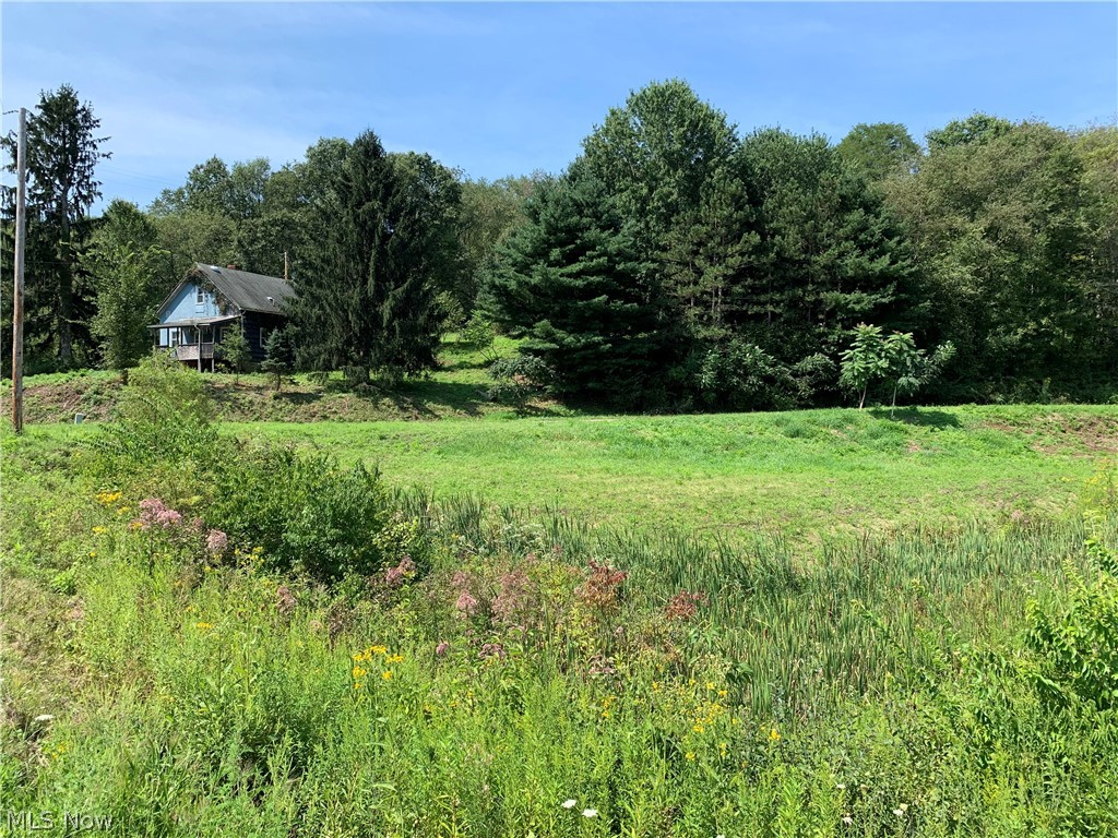 50 Country Road Jewett, OH 43986 - Photo 7 of 10 Gallery Image 7