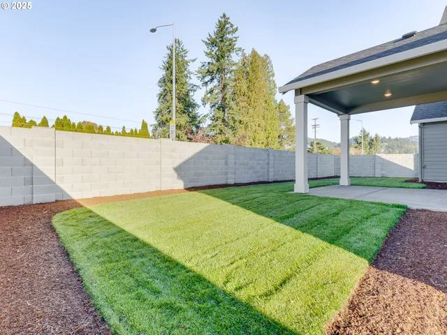 a view of a house with backyard and porch