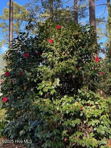 $2,495,000 | 5003 Trent Woods Drive, Trent Woods, NC 28562