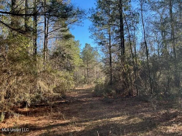 $320,000 | 1059 Candy Lane, McComb, MS 39648