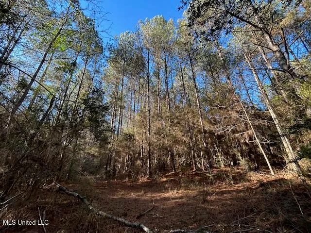 $320,000 | 1059 Candy Lane, McComb, MS 39648