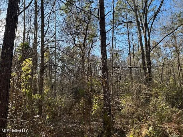 $320,000 | 1059 Candy Lane, McComb, MS 39648