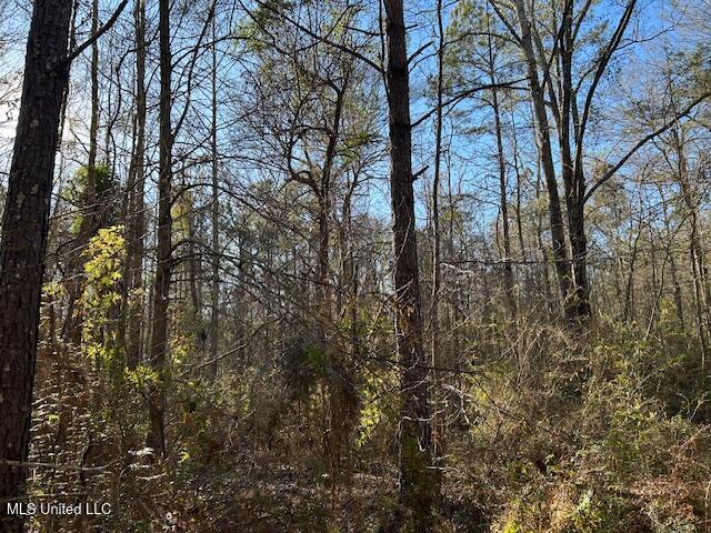 1059 Candy Lane McComb, MS 39648 - Photo 12 of 12 IMG_2709