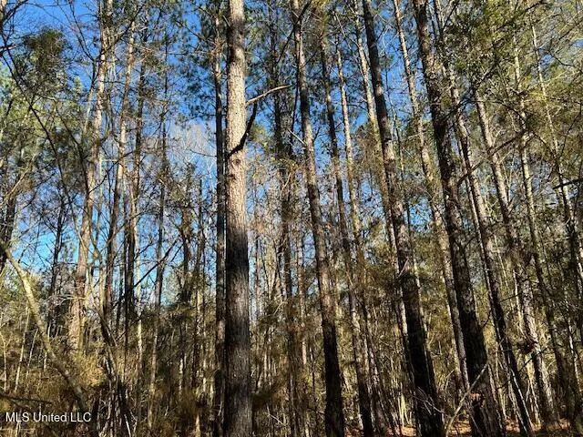 $320,000 | 1059 Candy Lane, McComb, MS 39648