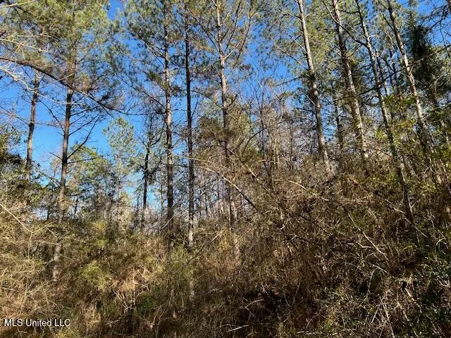 $320,000 | 1059 Candy Lane, McComb, MS 39648