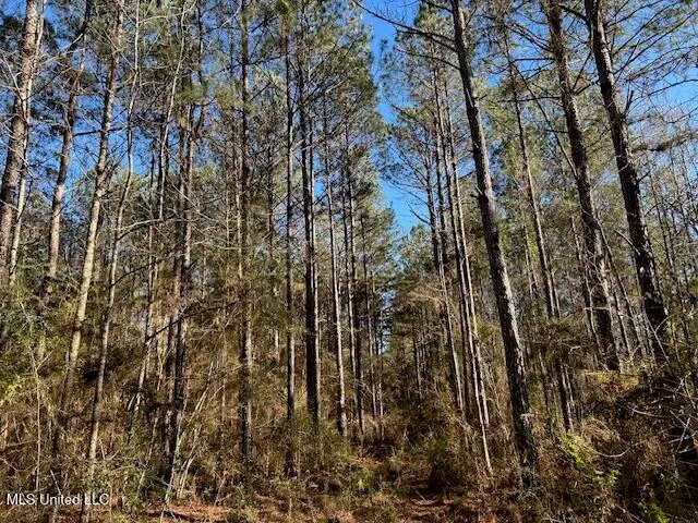 $320,000 | 1059 Candy Lane, McComb, MS 39648