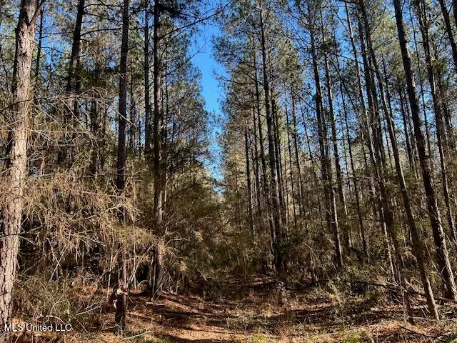 $320,000 | 1059 Candy Lane, McComb, MS 39648