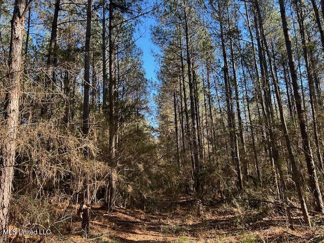 1059 Candy Lane McComb, MS 39648 - Photo 5 of 12 IMG_2702