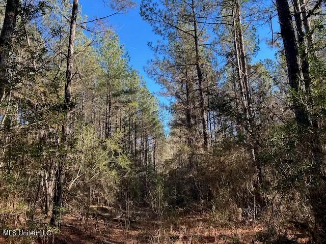 $320,000 | 1059 Candy Lane, McComb, MS 39648