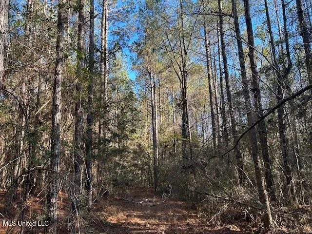 $320,000 | 1059 Candy Lane, McComb, MS 39648