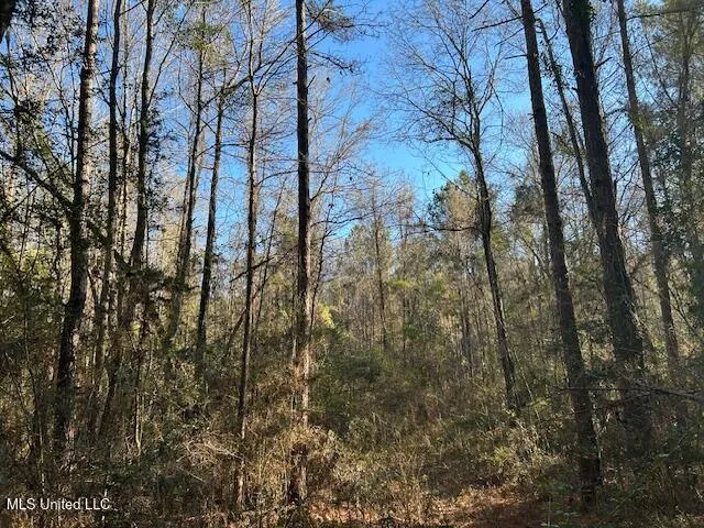 $320,000 | 1059 Candy Lane, McComb, MS 39648