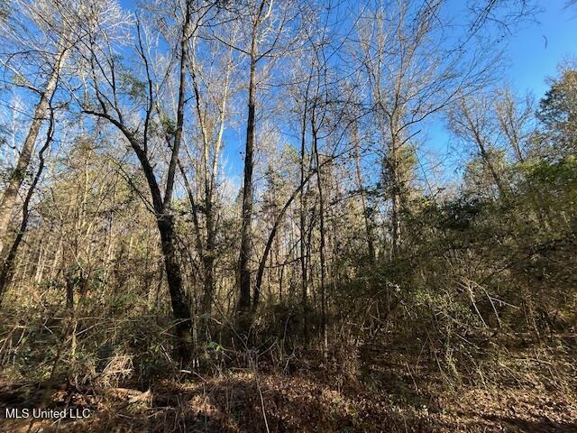 1059 Candy Lane McComb, MS 39648 - Photo 9 of 12 IMG_2706