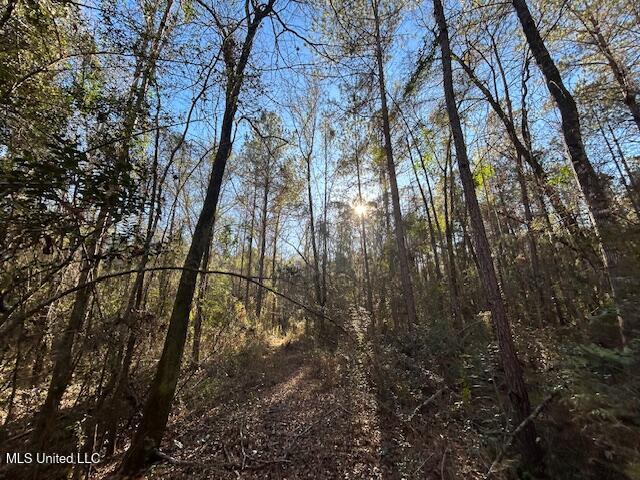 1059 Candy Lane McComb, MS 39648 - Photo 10 of 12 IMG_2707