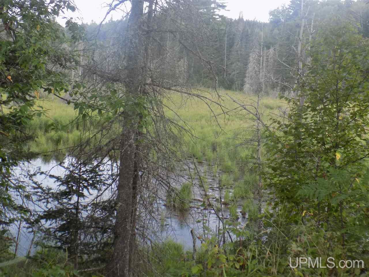 Tbd Mill Creek Road Republic, MI 49879 - Photo 7 of 11