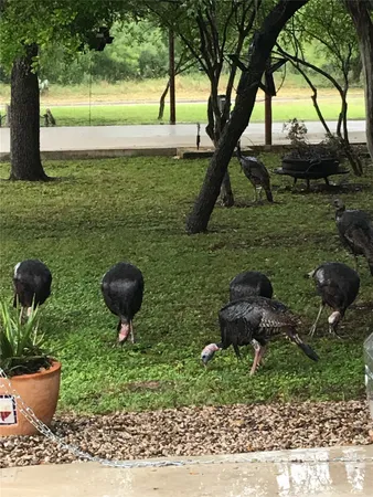 $9,900 | 102 Bliss Circle, Brackettville, TX 78832