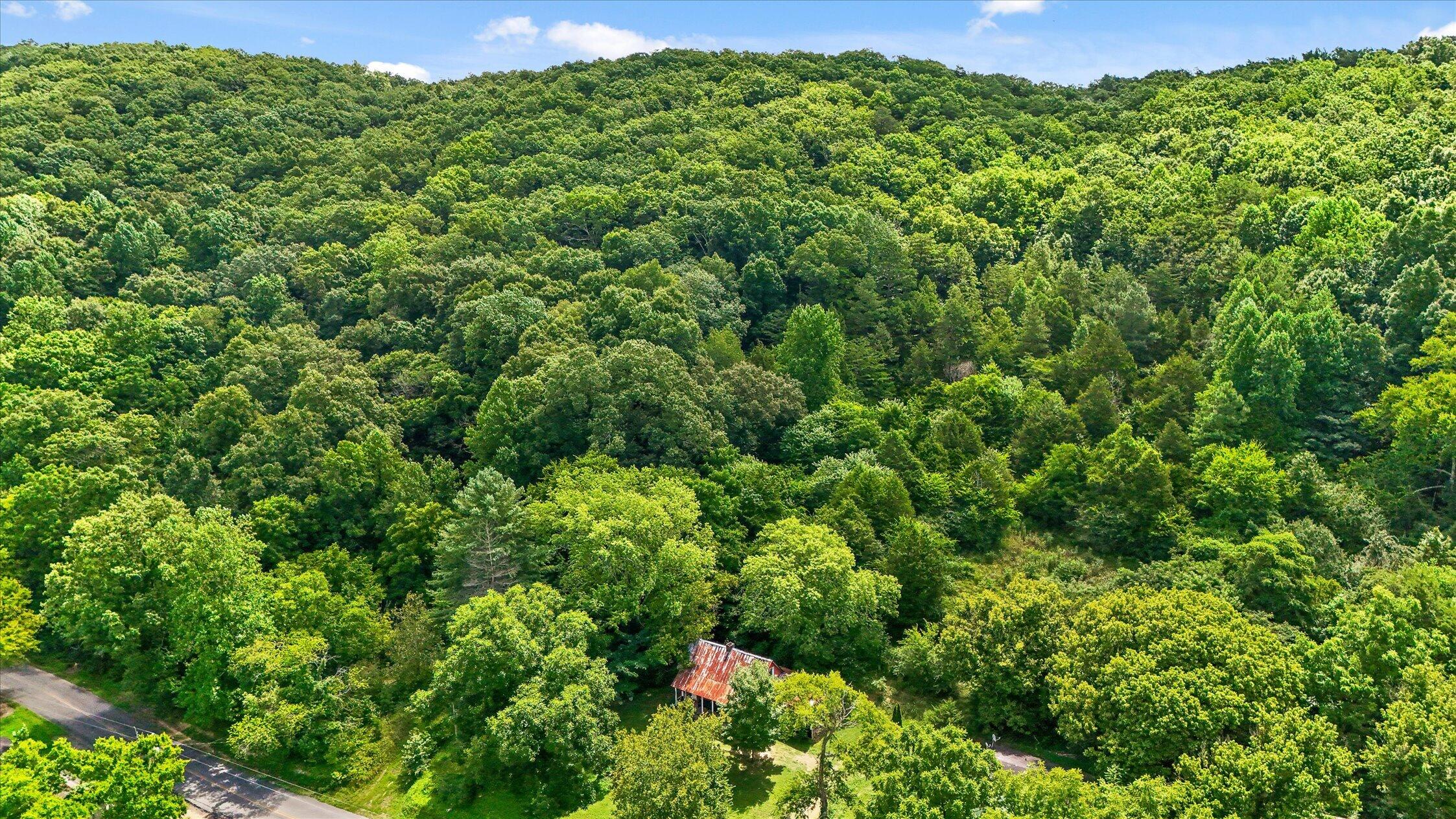 5904 Candies Creek Ridge Road Charleston, TN 37310 - Photo 29 of 32 31-5904 Candies Creek-18