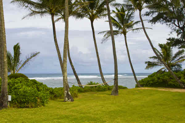 7242 Alamoo Road Hanalei, HI 96714 - Photo 7 of 15 a view of swimming pool with a yard