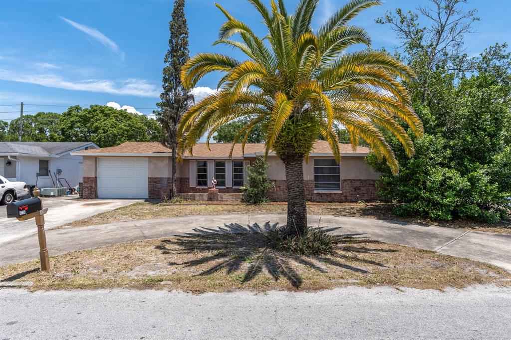 11236 Yellowwood Lane Port Richey, FL 34668 - Photo 1 of 1